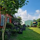 동홍동공원 | 제주가족펜션 설문대농장&amp;펜션 복층 황금귤방 후기