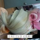 기능장금발헤어
