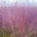 단골미용실 이미지