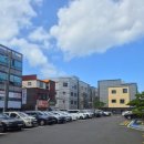 (주)동북쇼핑 문산점 | 진주문산 창고형약국 "메가타운" 방문기(내돈내산 구매후기, 주차정보)