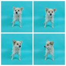 대흥신덕길 이미지