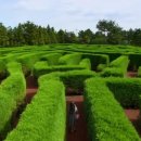 미로농장 이미지