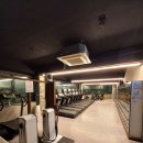 영바디짐 이미지