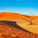 붉은 사막의 유혹 나미비아 듄45에서 이미지