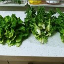 연서농장 이미지