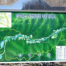 민주지산자연휴양림야영장 네이버블로그
