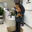 다움동물병원 이미지