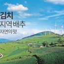 태백고랭지김치