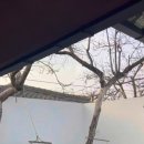 적선지가 사리점 이미지