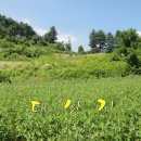 전재원공인중개사사무소 이미지