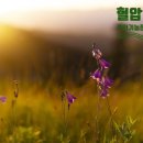 동녁골농장 네이버블로그