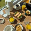 조수리엔 | 제주 서쪽 감성숙소 조수리플로어 내돈내산 후기