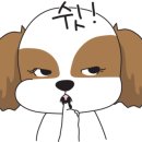 룡소카레 이미지