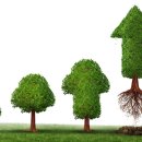 브랜드정후 이미지