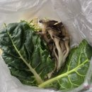 군포본점뽕잎사랑 | [뽕잎사랑 군포 본점]_소고기 샤브샤브/당정역 뽕잎사랑 포장/계속 생각나는 맛