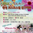 코스모스여화 이미지