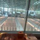 오므토토마토 | 인천공항1터미널식당 오므토토마토 내돈내산 후기