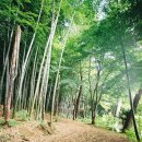 늦여름에 무작정 벌인 부산 산사(山寺) 나들이 이미지