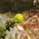 송백1리 이미지