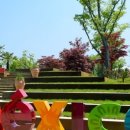 좌구산 옥상정원 이미지