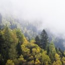 메리트공인중개사사무소 이미지