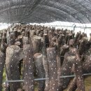 서준농장 이미지