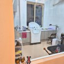 이쁘냥 고양이미용실 대전점 | 편안한 고양이의 공간 ~ 대전 고양이 호텔 &amp; 고양이 미용실 페르시안캣입니다 !!