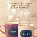 모임방 Daum카페