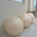 비버스필라테스 이미지