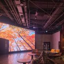 베이커스룸 이미지