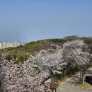 남서울태권도아카데미 | [JNGK남서울아카데미] 골프연습장 레인지 볼 교체 후기(+할인 구입처 정보!)