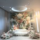 천안컨벤션웨딩4층 | W1. 천안아산 웨딩 베뉴 투어 3곳 다녀온 솔직후기(최종선택은 다음 후기에서 공개)