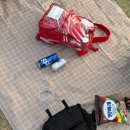 그린존 | 인천 SSG 랜더스필드 외야 몰리스 그린존 시야 후기