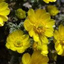 To the Sea 이미지