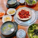 낙지나라 | 사가정역 맛집 이강분 무교동 낙지나라 본점 후기