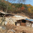 부자 흑염소농장 이미지