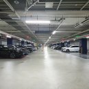 더숲부동산중개법인주식회사 이미지