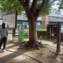 부산갈맷길6-2,6-3코스(구포역~부산어린이대공원)2026.10.04 이미지