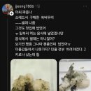 드림떡집