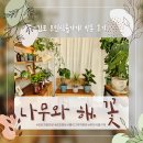 직탕입구-양촌사거리 | 김포 무인식물가게 &#39;나무와해,꽃&#39; 개업 화분 예쁜 손글씨 더하기