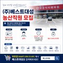 베스트마트 티스토리