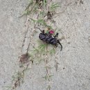 휴무인모텔 이미지