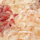 싱싱회타운 이미지