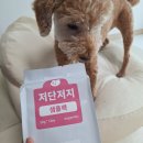 저단22 | 강아지 췌장염 화식 도거박스 저단저지 샘플팩 급여 후기