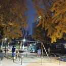 별양2소공원 이미지