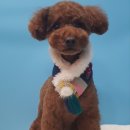 슈슈펫살롱 이미지