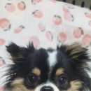 올리스24 명지점 이미지