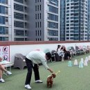 센텀필약국 이미지