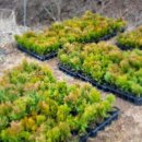 창권농장 이미지