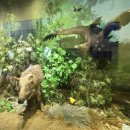 문경자연생태박물관 이미지